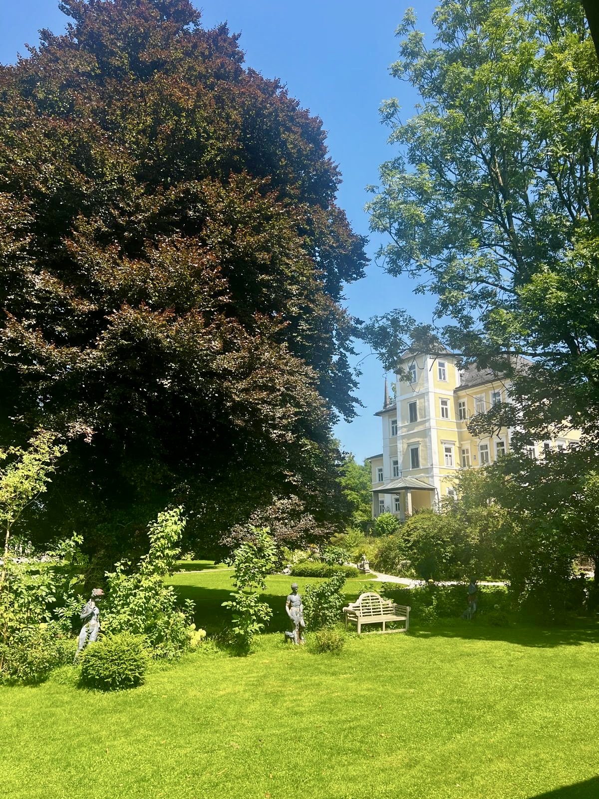 Copper beech and yellow tower seen through the garden