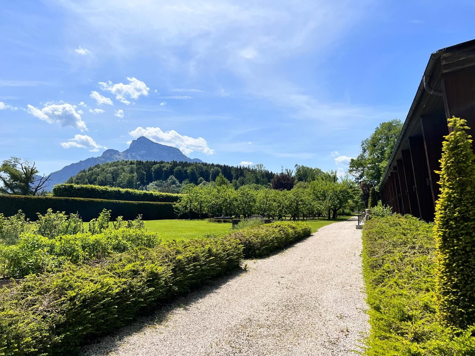 Untersberg beyond the hedge