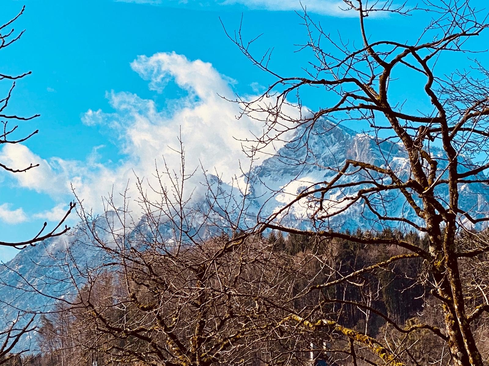 Hellbrunner Allee, bare